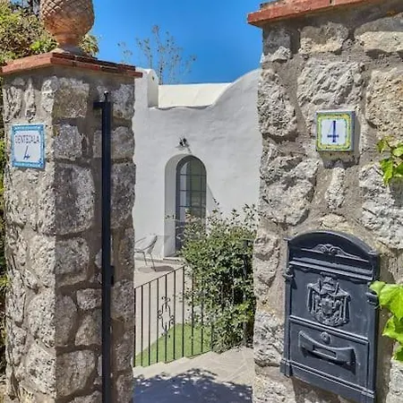 Dentecala 4 *